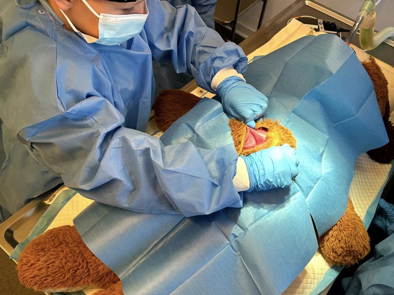 Kejsersnit på bamse