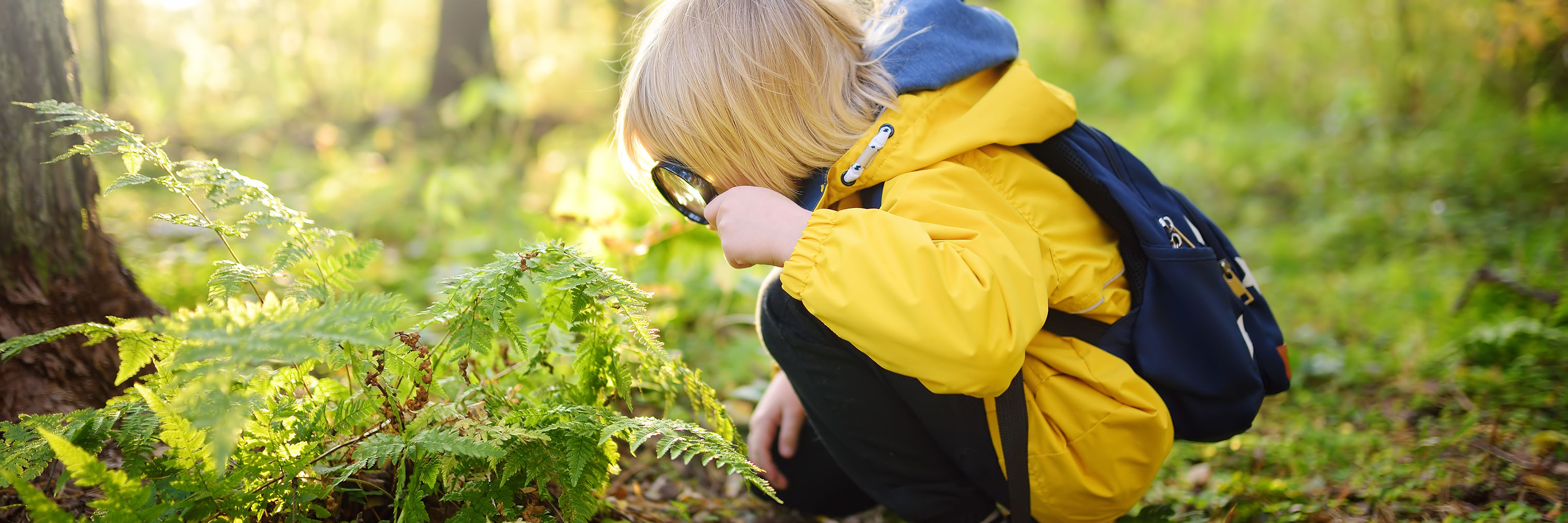 Barn med lup der kigger på en bregne