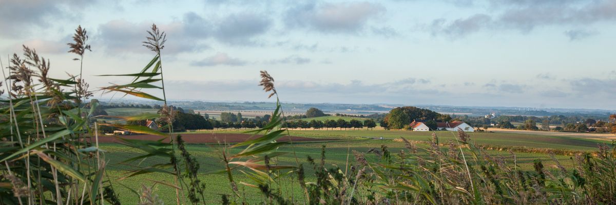 Landbrug og natur i Odsherred, hvor co2-udledningen skal nedbringes i samarbejde mellem landbruget og kommunen.