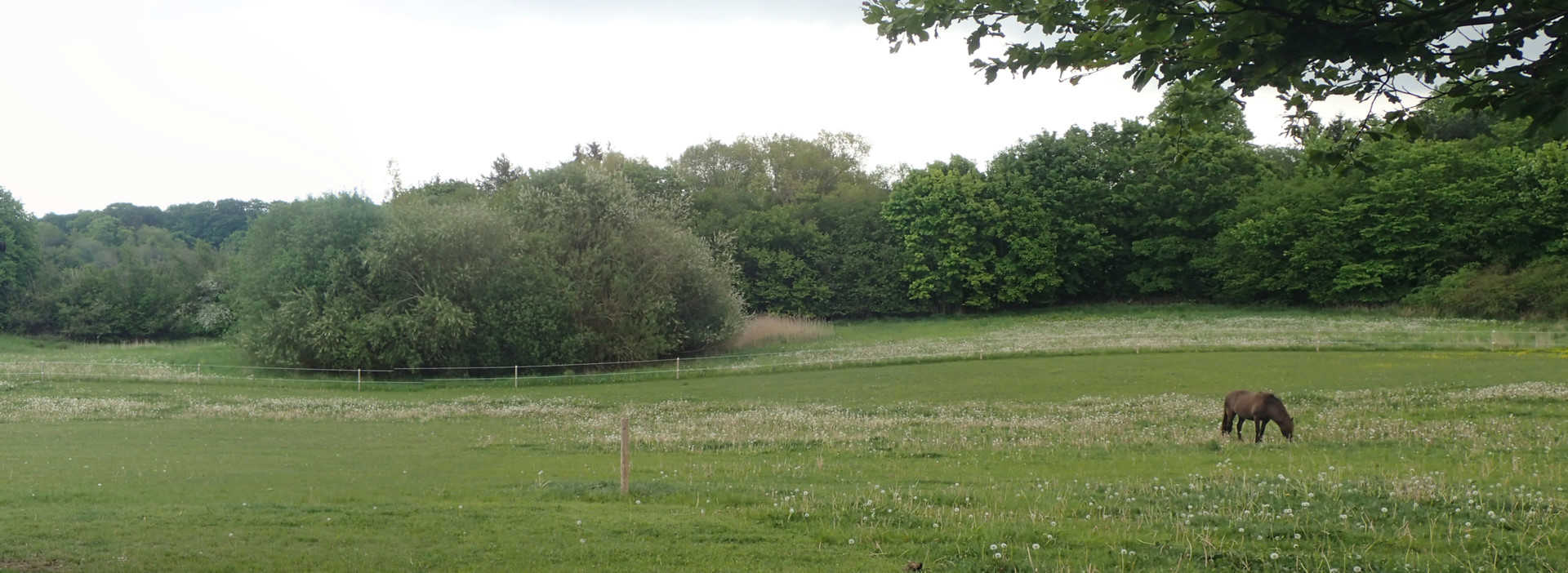 Sø på matrikel 5e Gelstrup By, Egebjerg