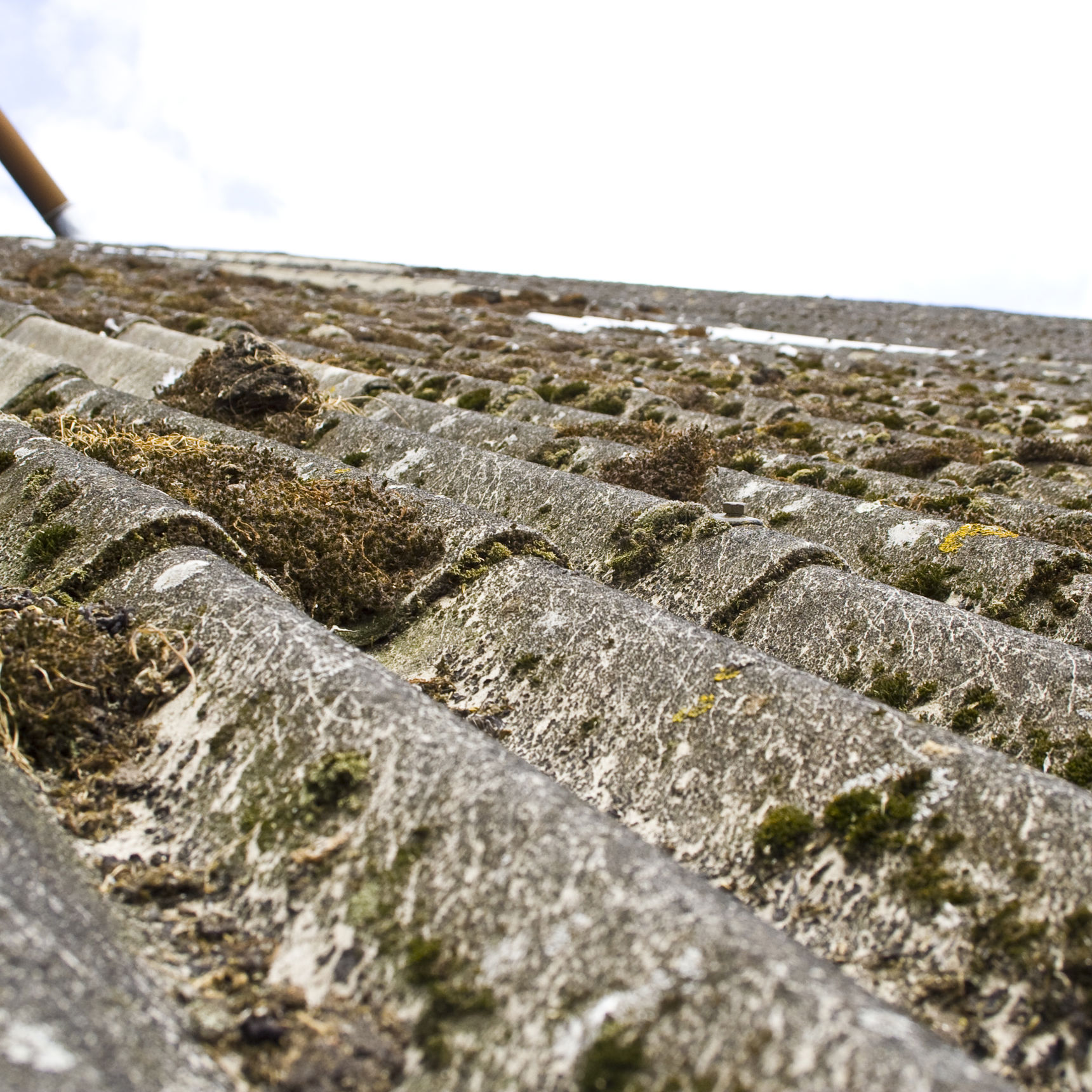 Gammelt tag af asbest med mos på