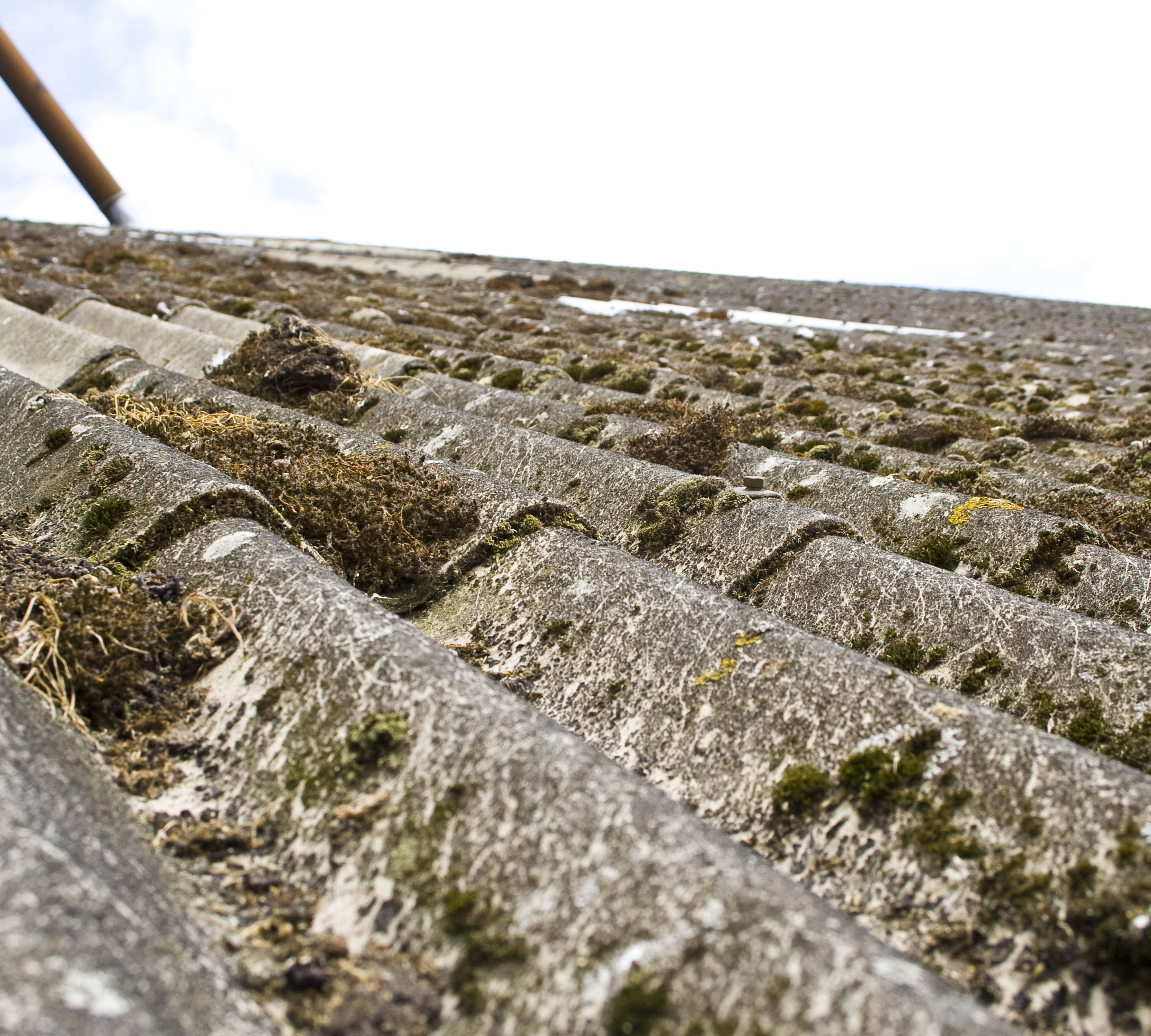 Gammelt tag af asbest med mos på
