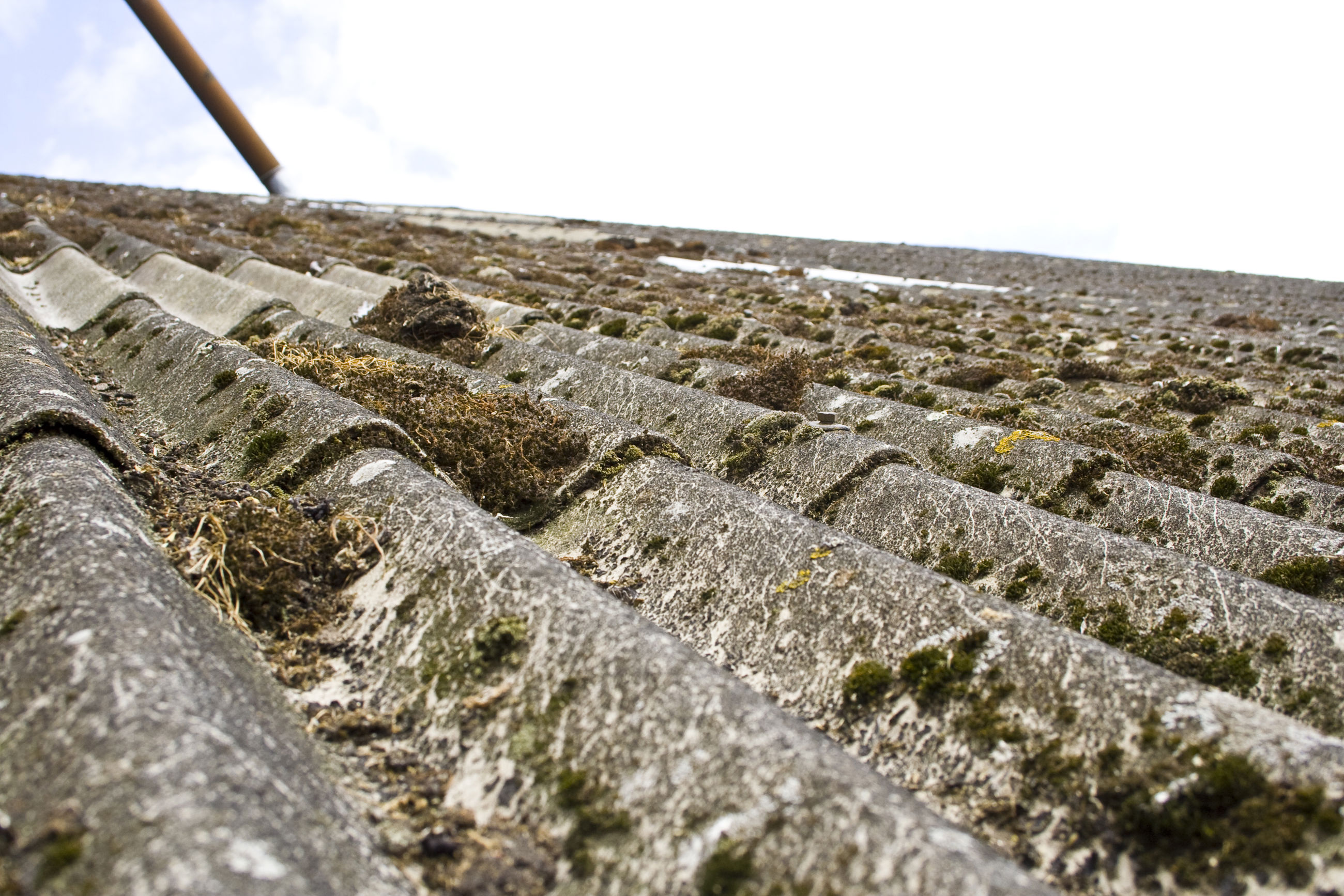 Gammelt tag af asbest med mos på