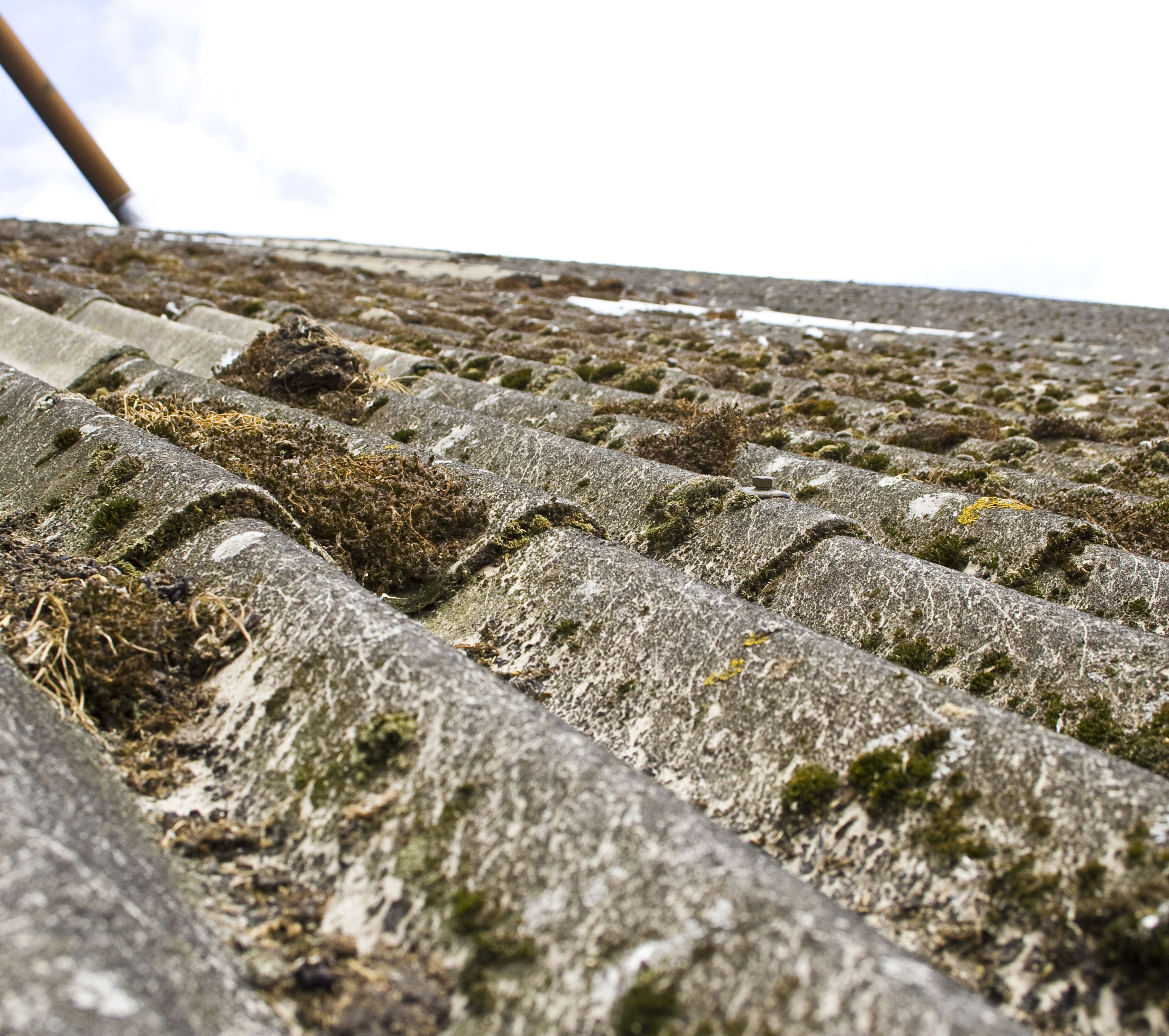 Gammelt tag af asbest med mos på