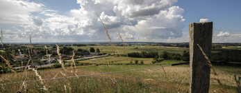 Esterhøj