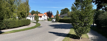 Villavej med velklippede træer og nyslået græs