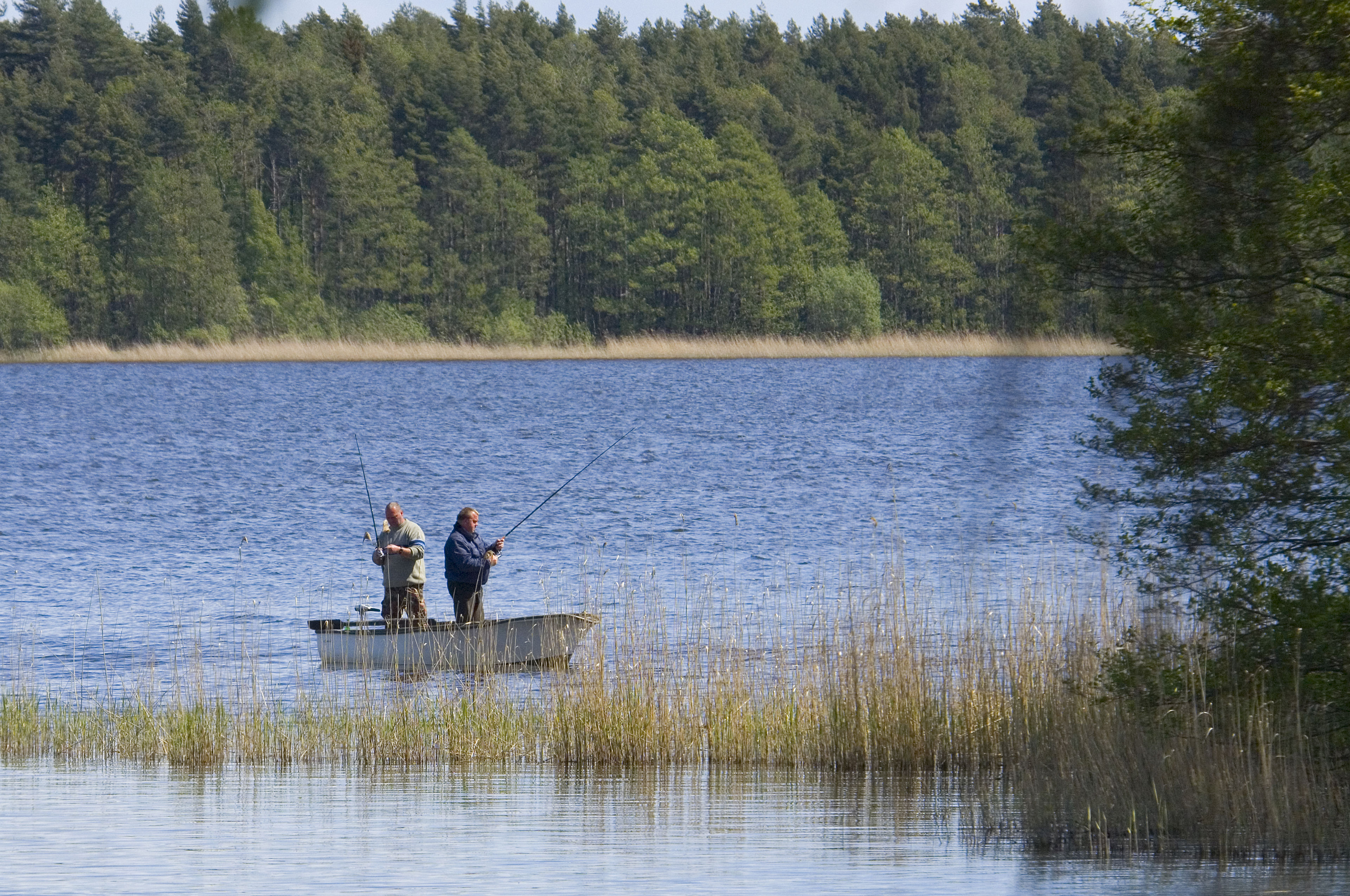 To stående mænd med fiskestænger i en jolle på Isefjorden med skov i baggrunden.