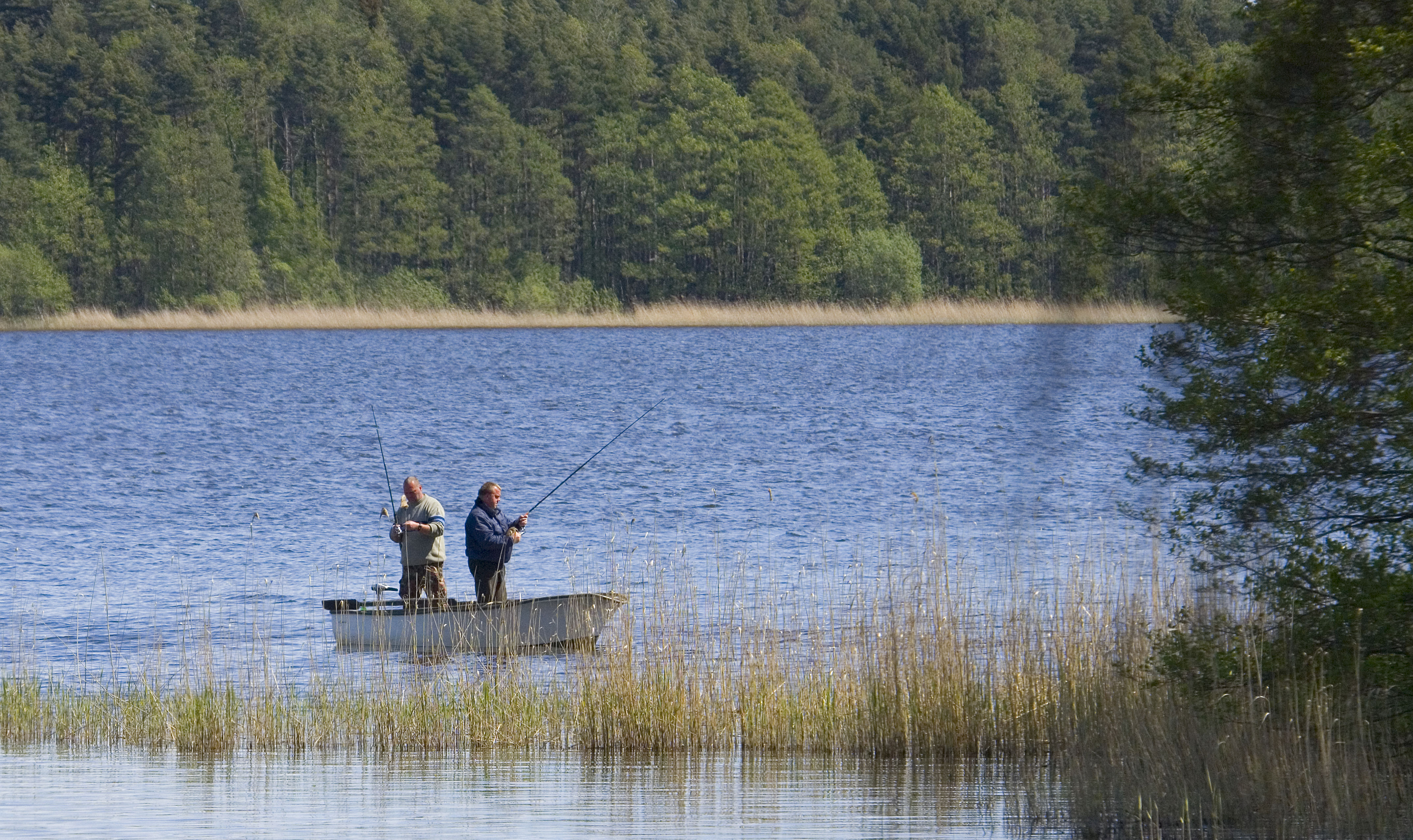 To stående mænd med fiskestænger i en jolle på Isefjorden med skov i baggrunden.