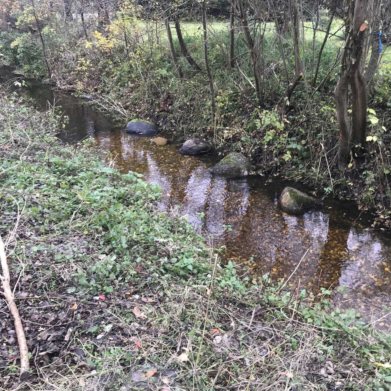 Gydebanke i vandløb