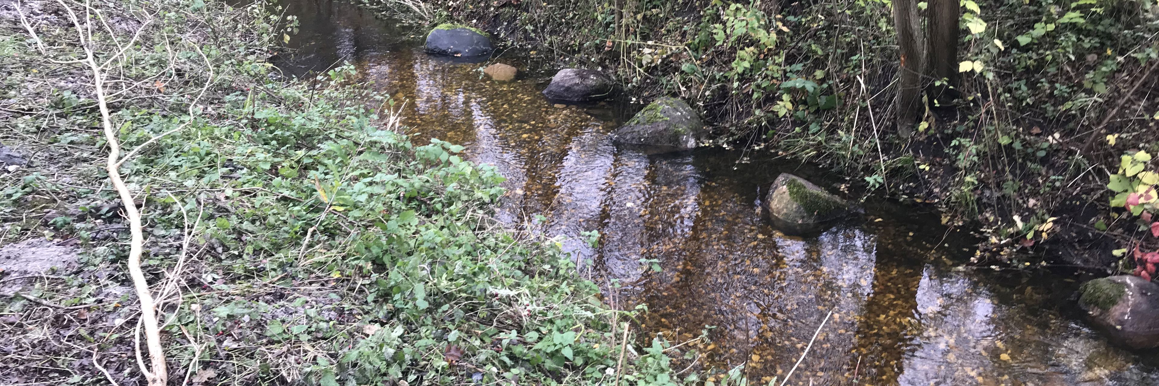 Gydebanke i vandløb