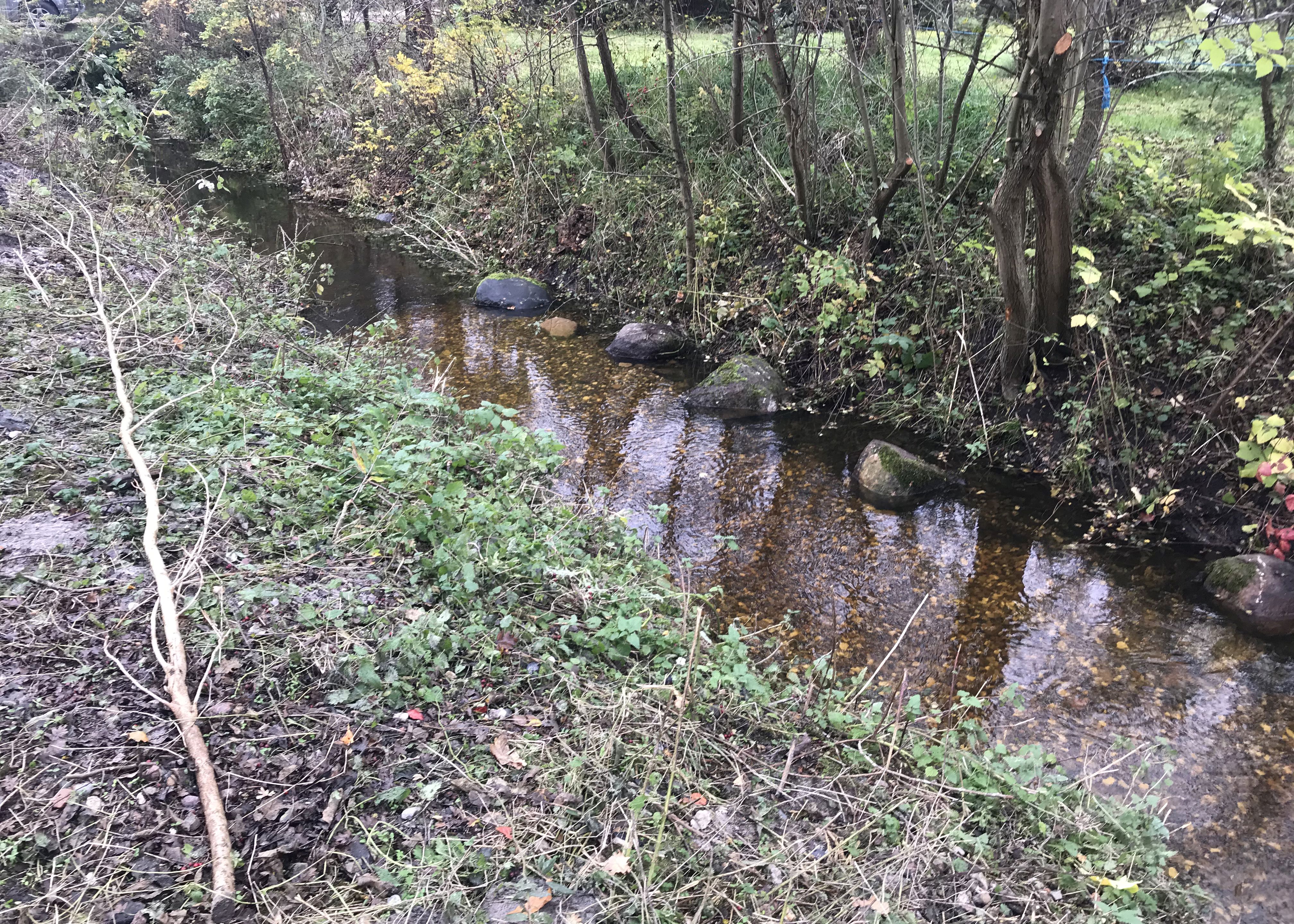 Gydebanke i vandløb