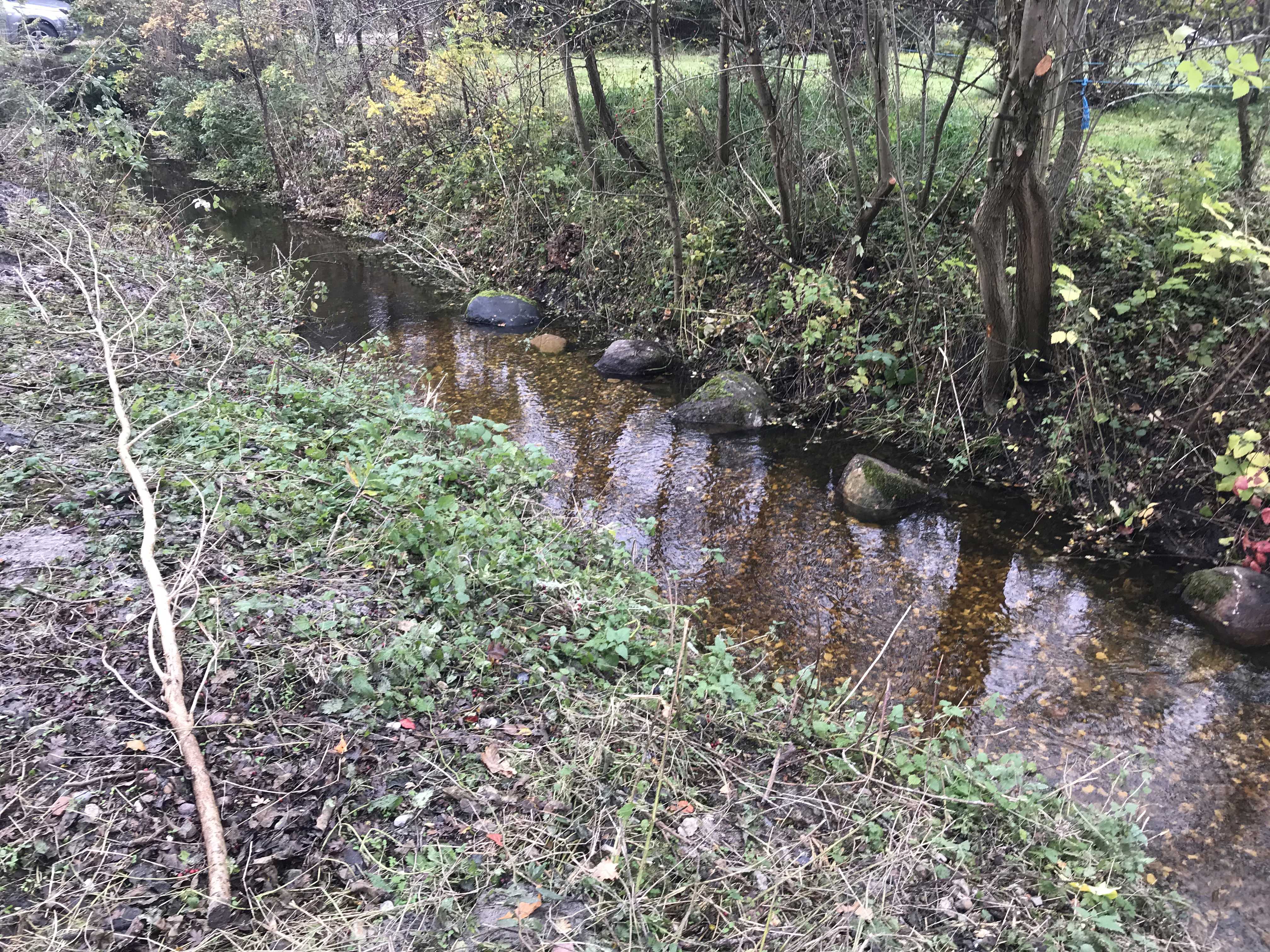 Gydebanke i vandløb