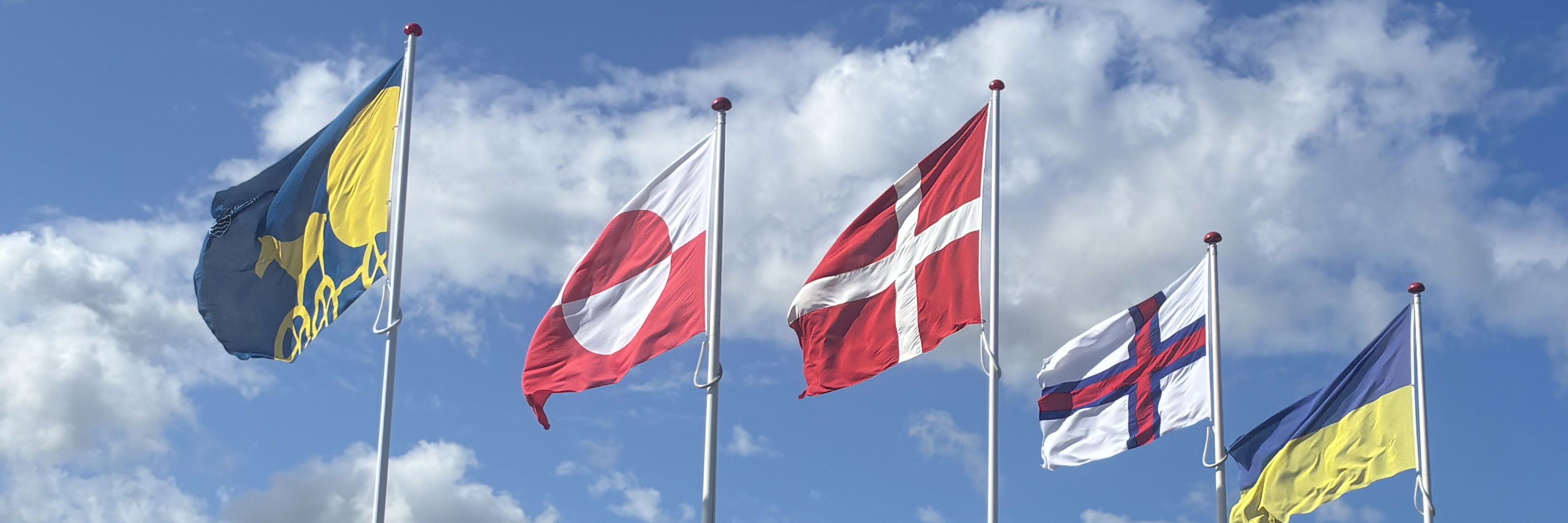 Fem flagstænger med flag