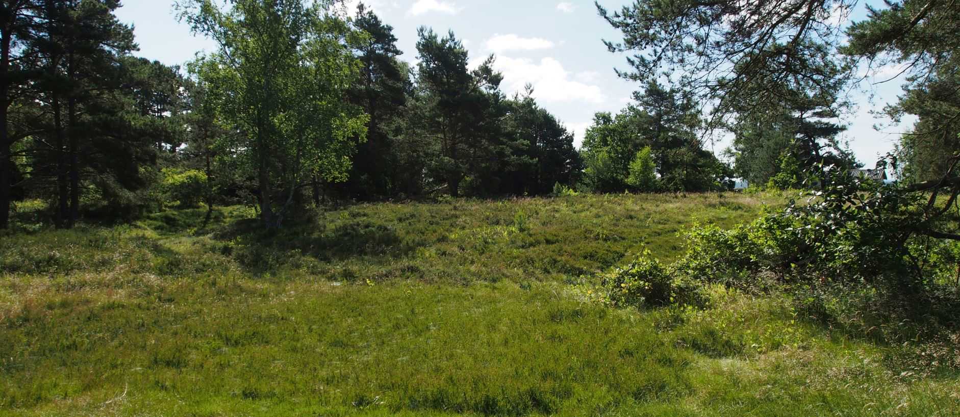 Skansen ved Skansehage