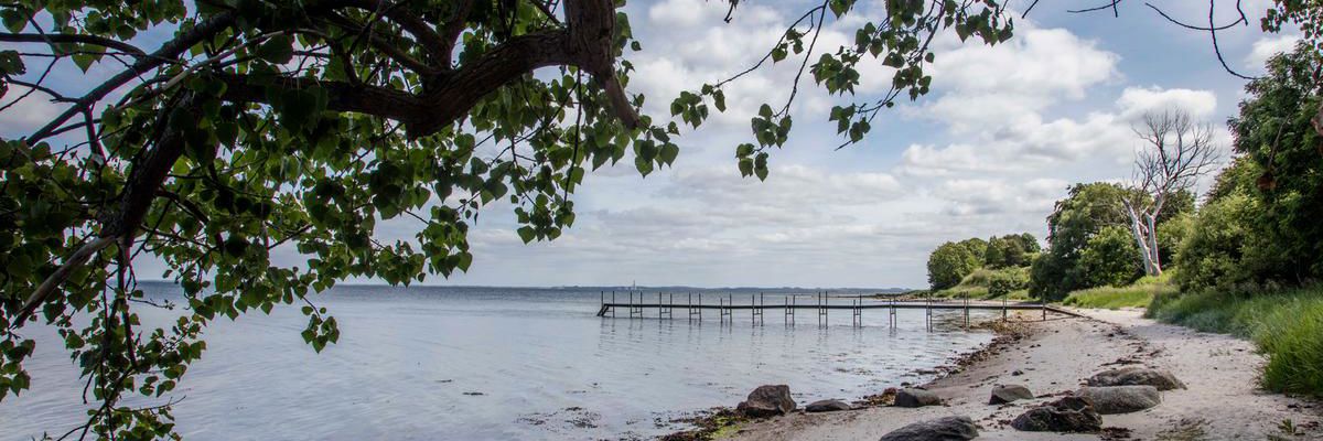 Naturskøn strand med badebro
