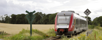 Tog kører ved jernbaneoverskæring nær mark og blomsterhav