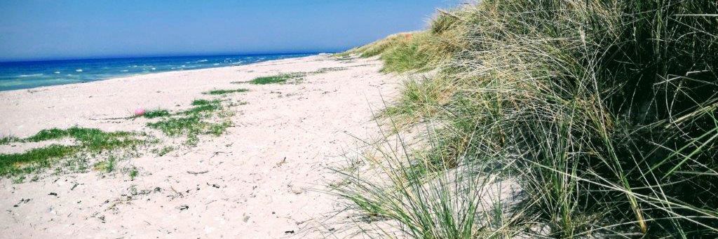 Klitter på stranden ved Nordstrandsvej
