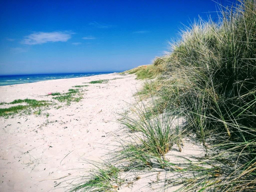 Klitter på stranden ved Nordstrandsvej