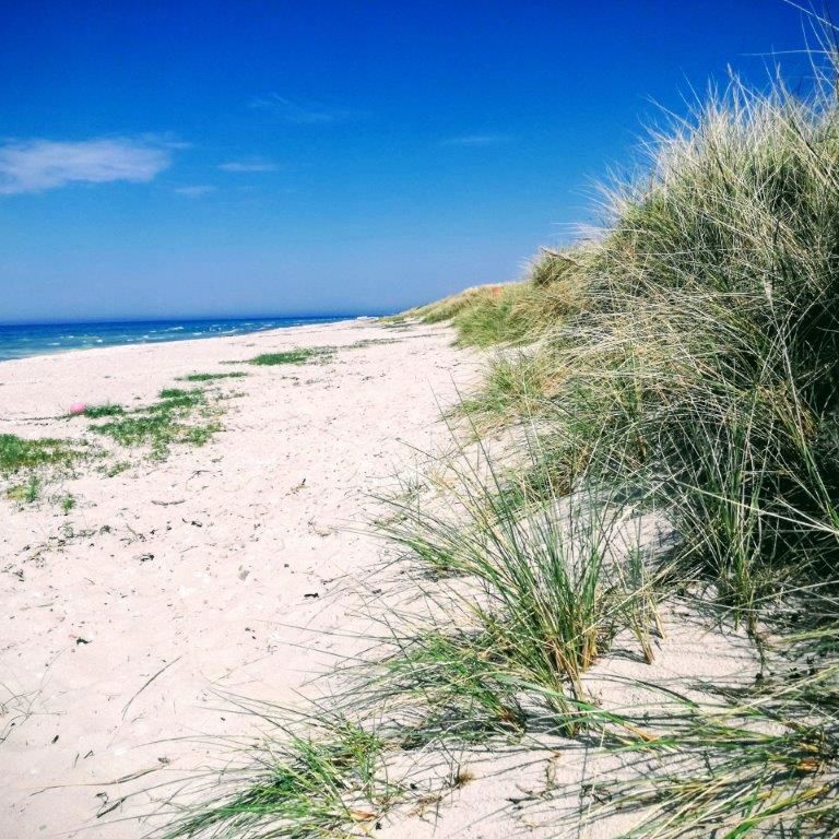 Klitter på stranden ved Nordstrandsvej