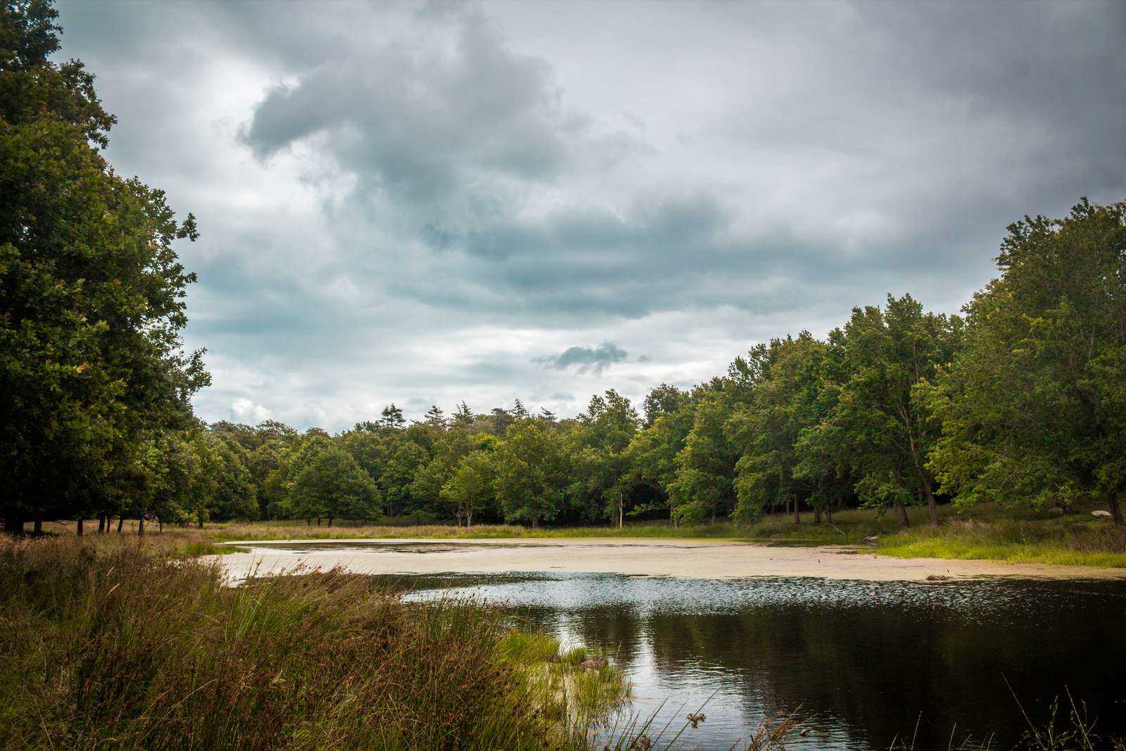 Sø i Ulkerup Skov