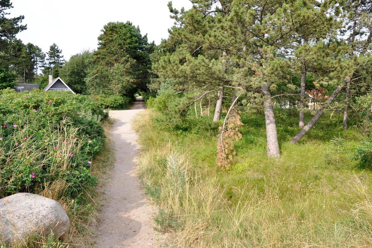 Sommerhusvej i Højby Lyng