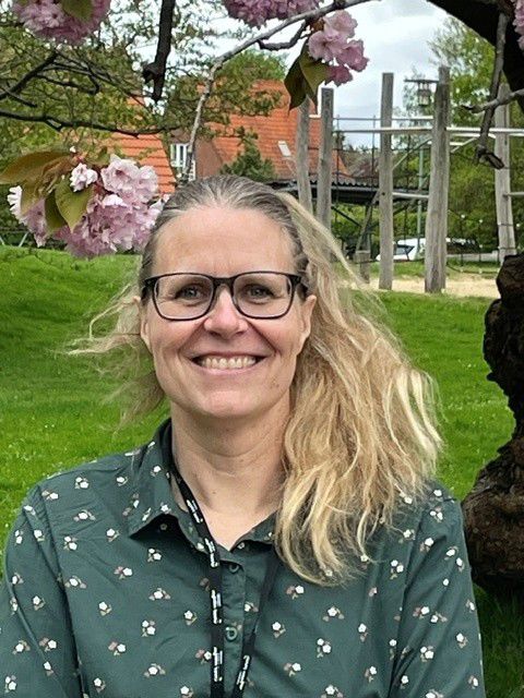 Ann ungebehandler