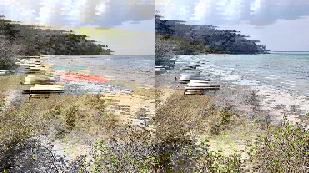 Både på stranden ved Høve Skov