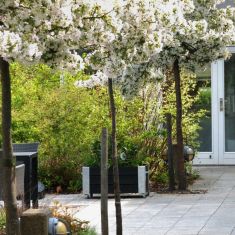 Udendørsmiljø Grønnegården