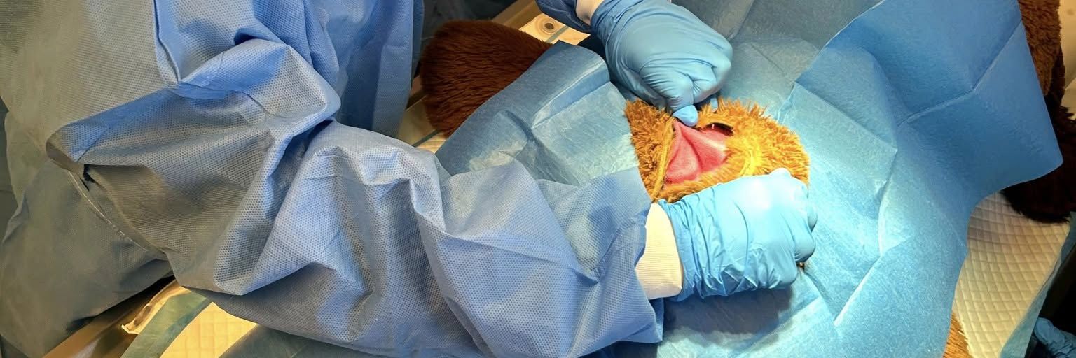 Kejsersnit på bamse