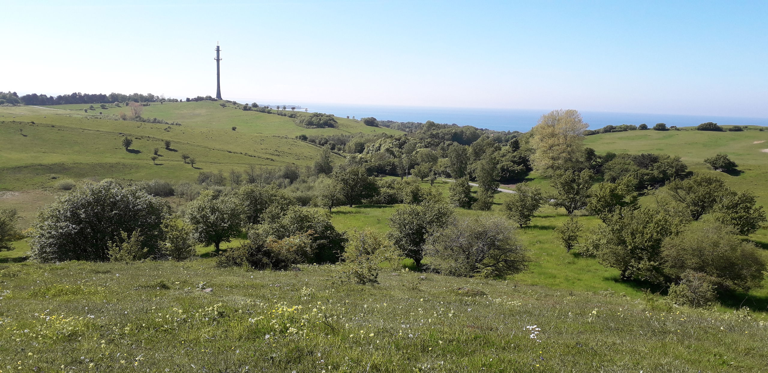 Radiotårnet på Skamlebæk