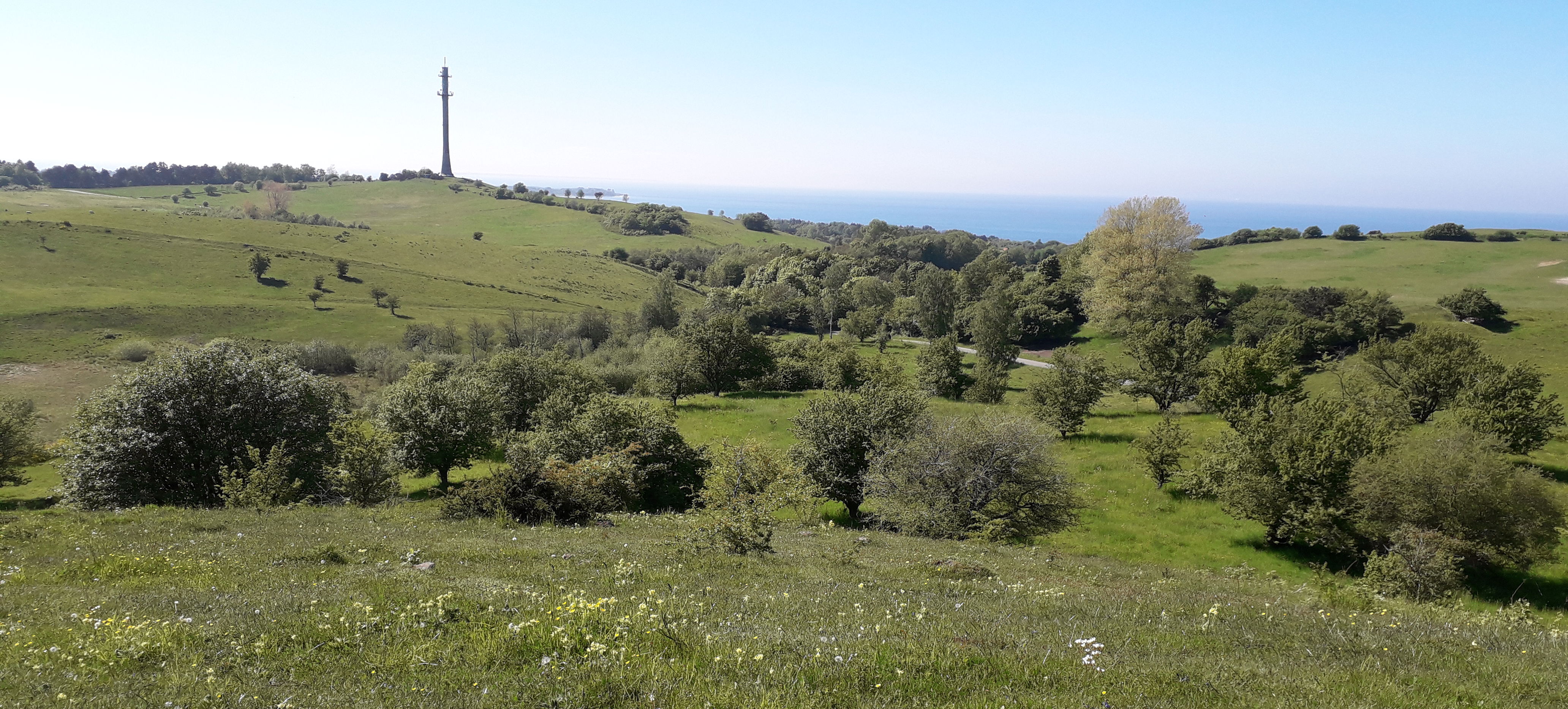 Radiotårnet på Skamlebæk