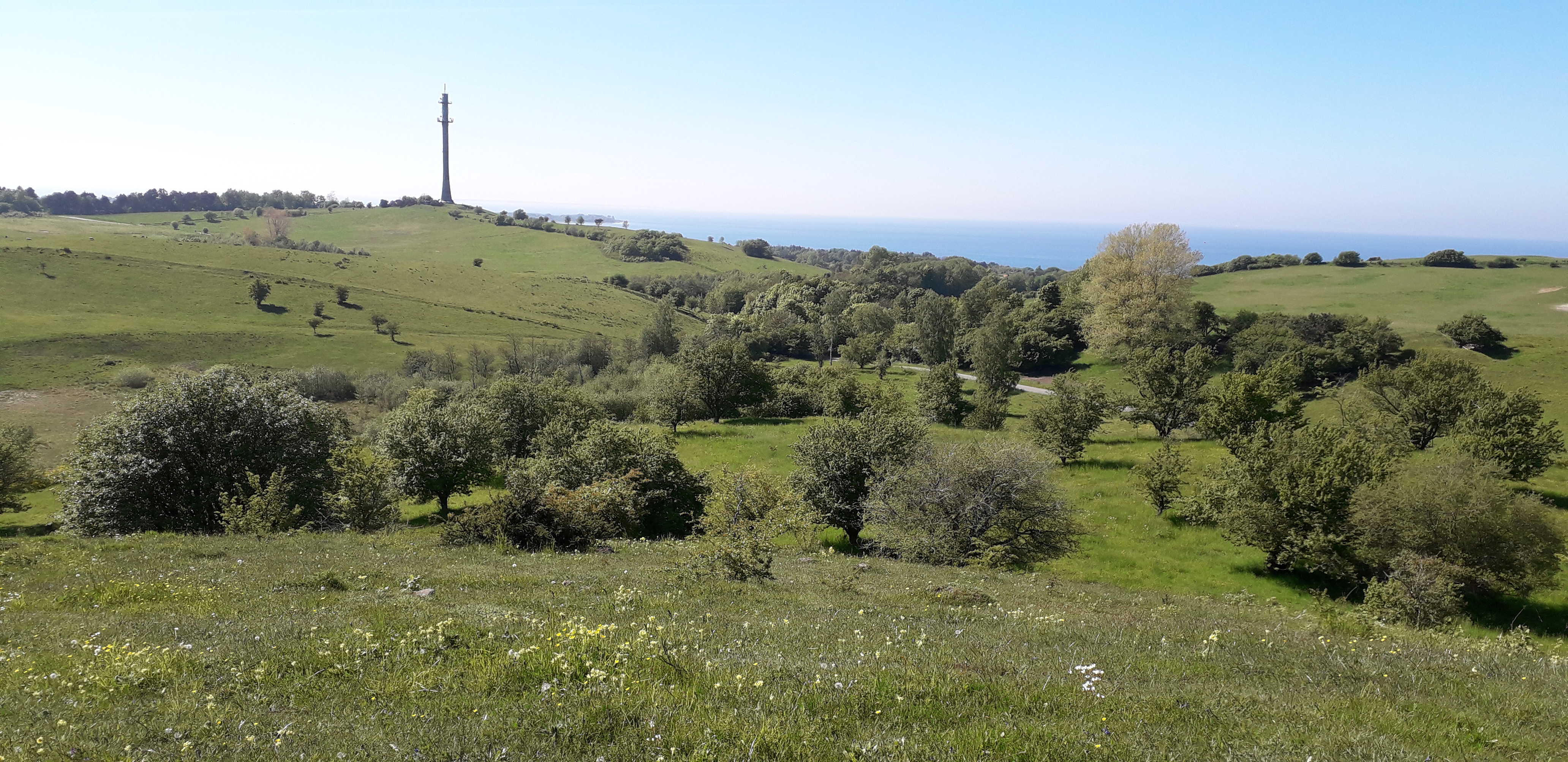 Radiotårnet på Skamlebæk