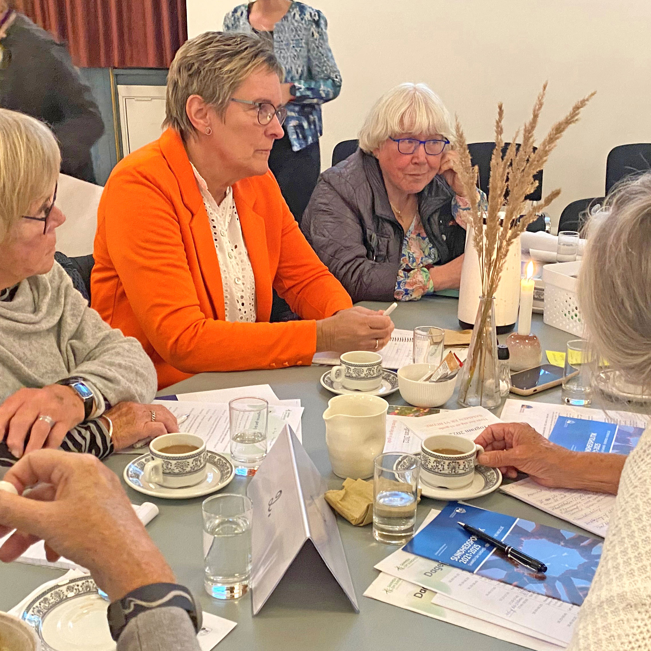 Temamøde om ensomhed, 27.9.2022