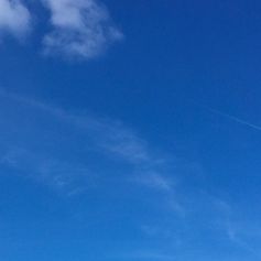 Kyst og strand flaget