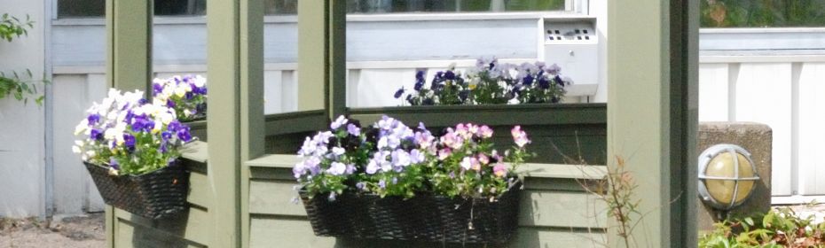 Altankasser med blomster Grønnegården