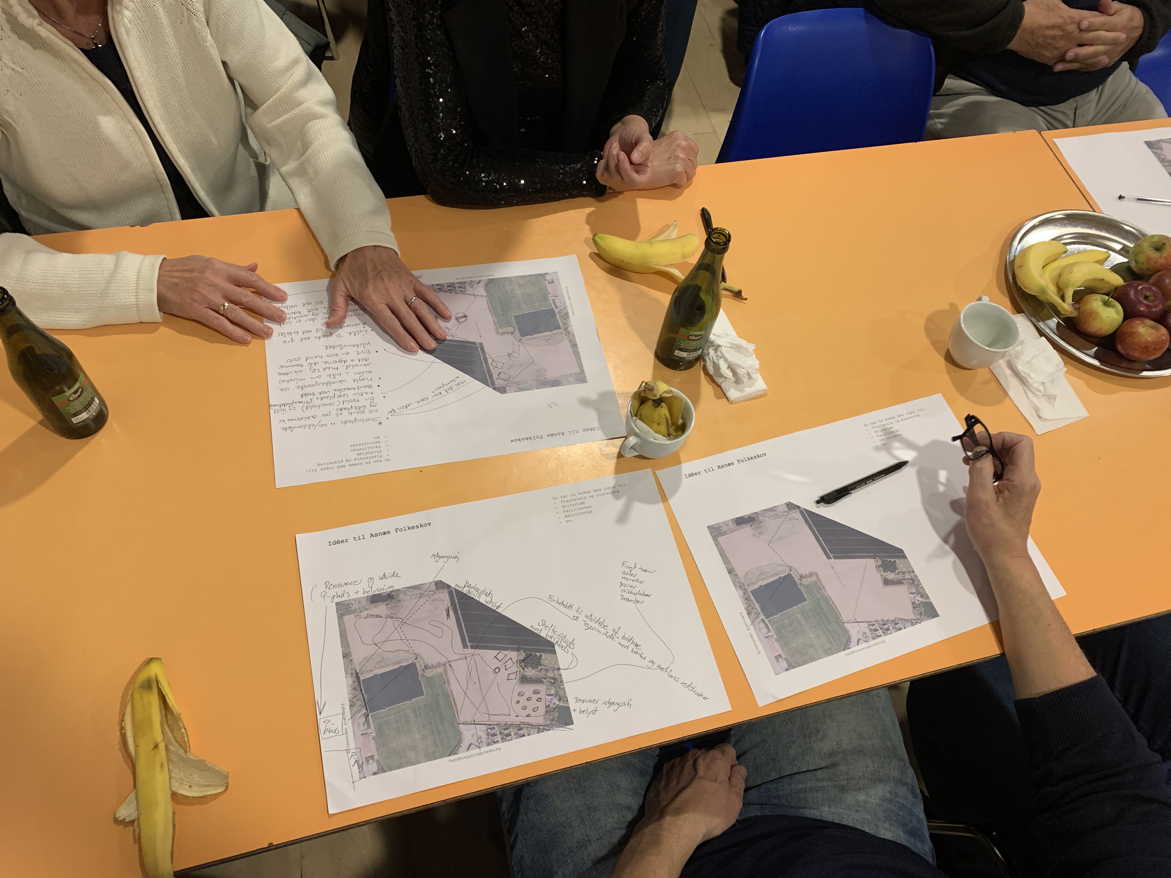 Workshop Asnæs Folkeskov skovrejsning