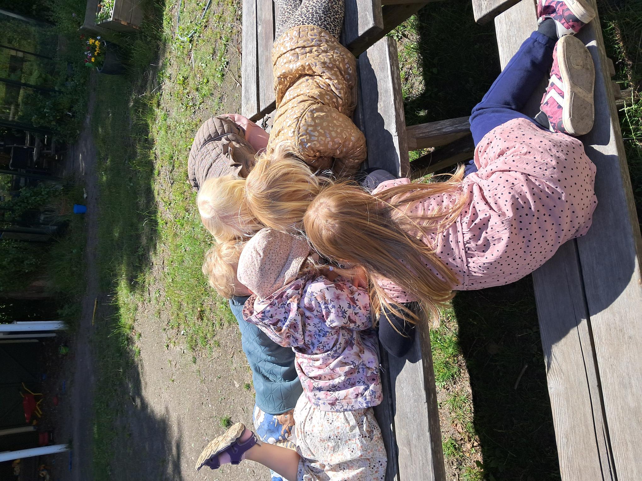 Børn der kigger på billeder af insekter