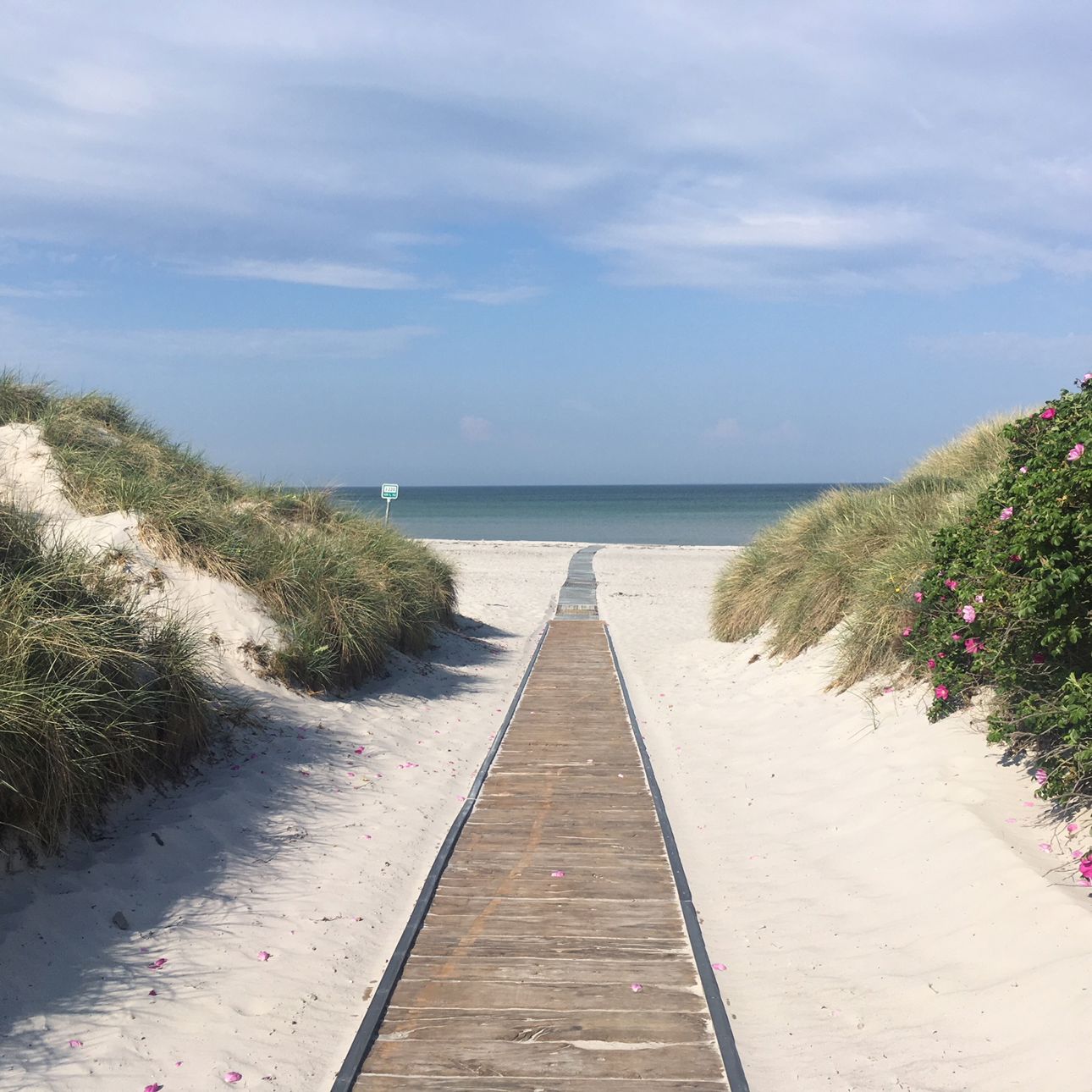 Kørestolsrampen på Gudmindrup Strand