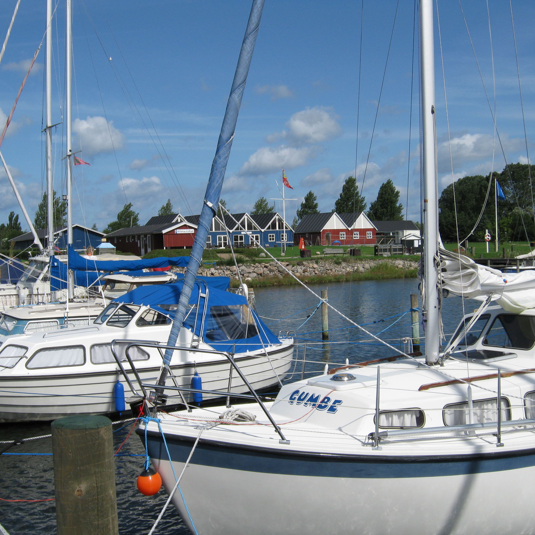 Fortøjrede sejlbåde i Nykøbing Sjælland Havn.