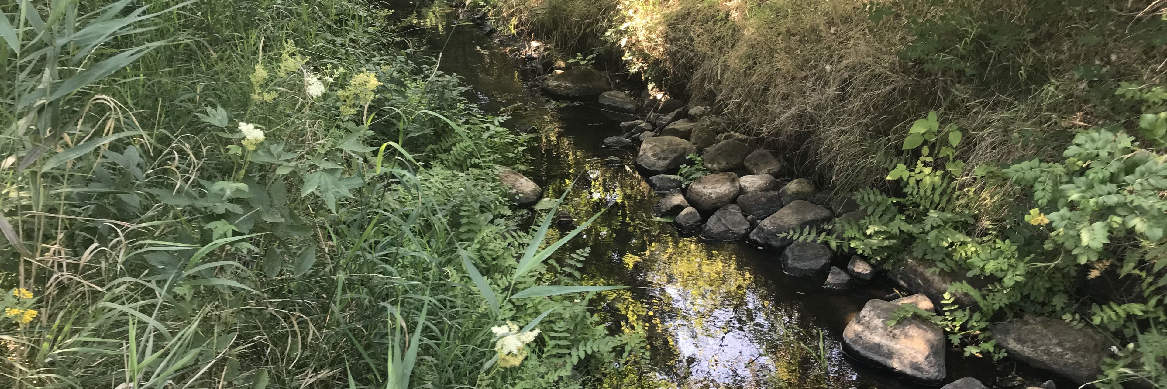 Et vandløb hvor der er udlagt sten i kanten