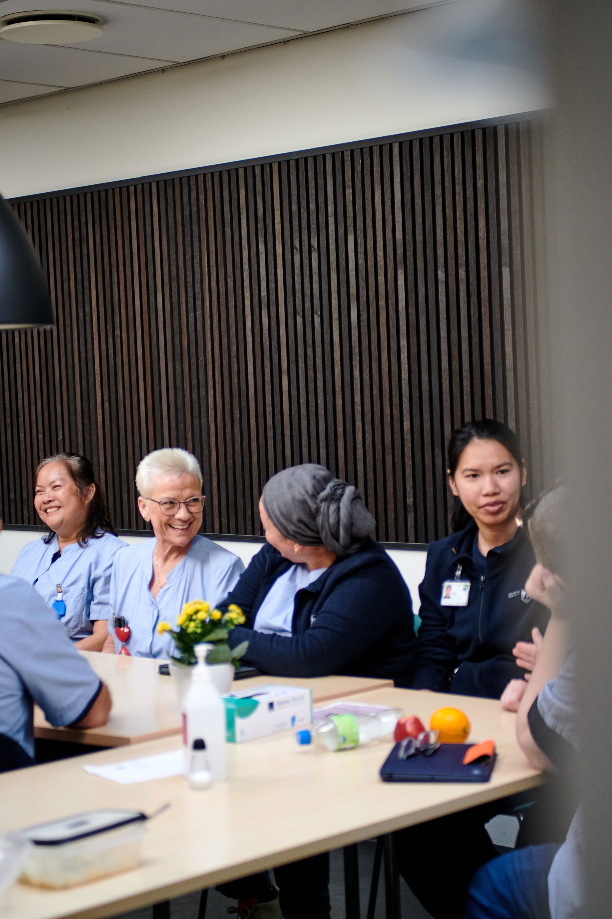 Møde i hjemme- og sygeplejen