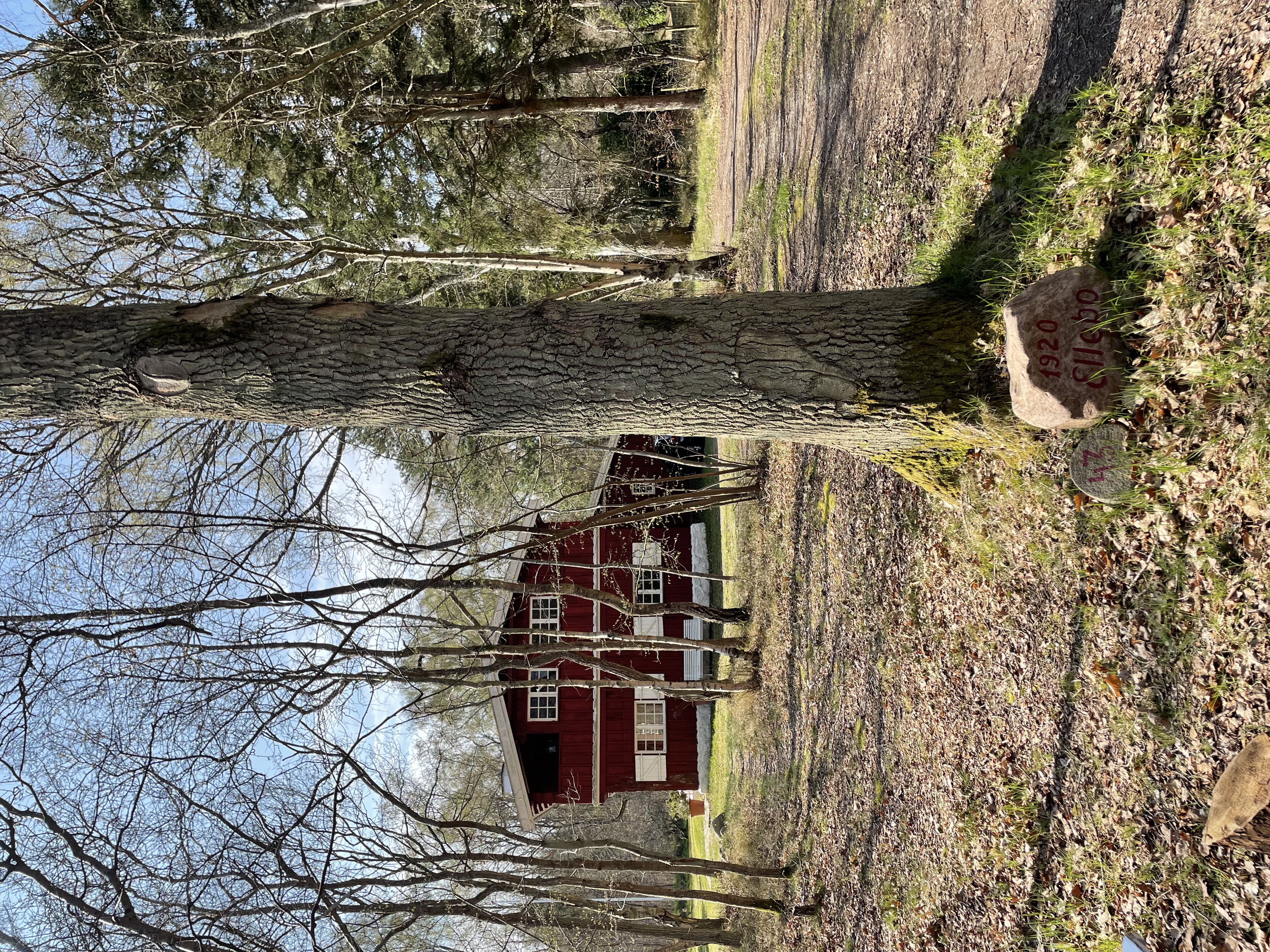 Sommerhus på Kirkevænget i Rørvig