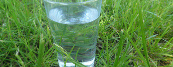 Glas som står på græsset næsten helt fyldt med vand