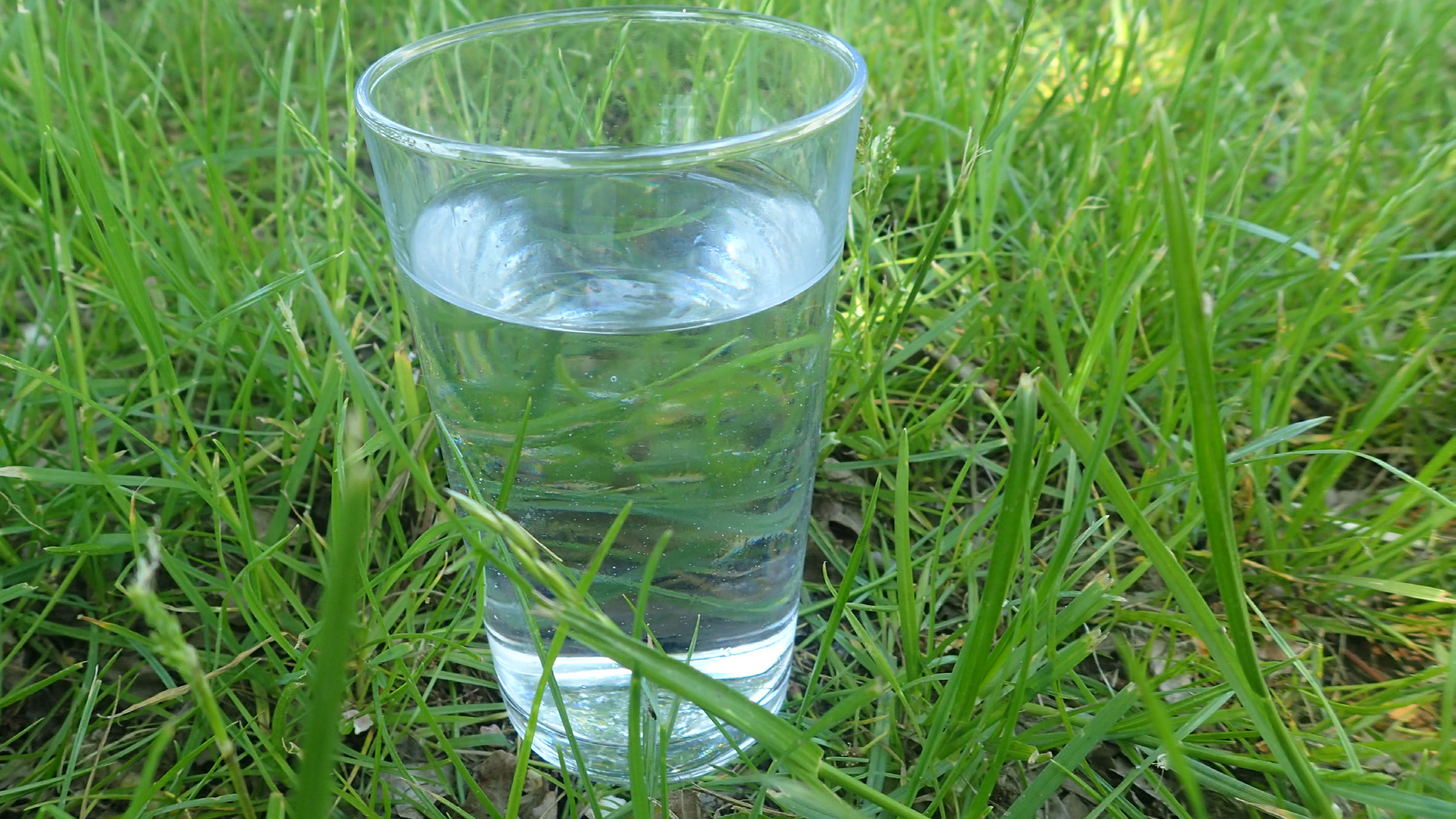 Glas som står på græsset næsten helt fyldt med vand