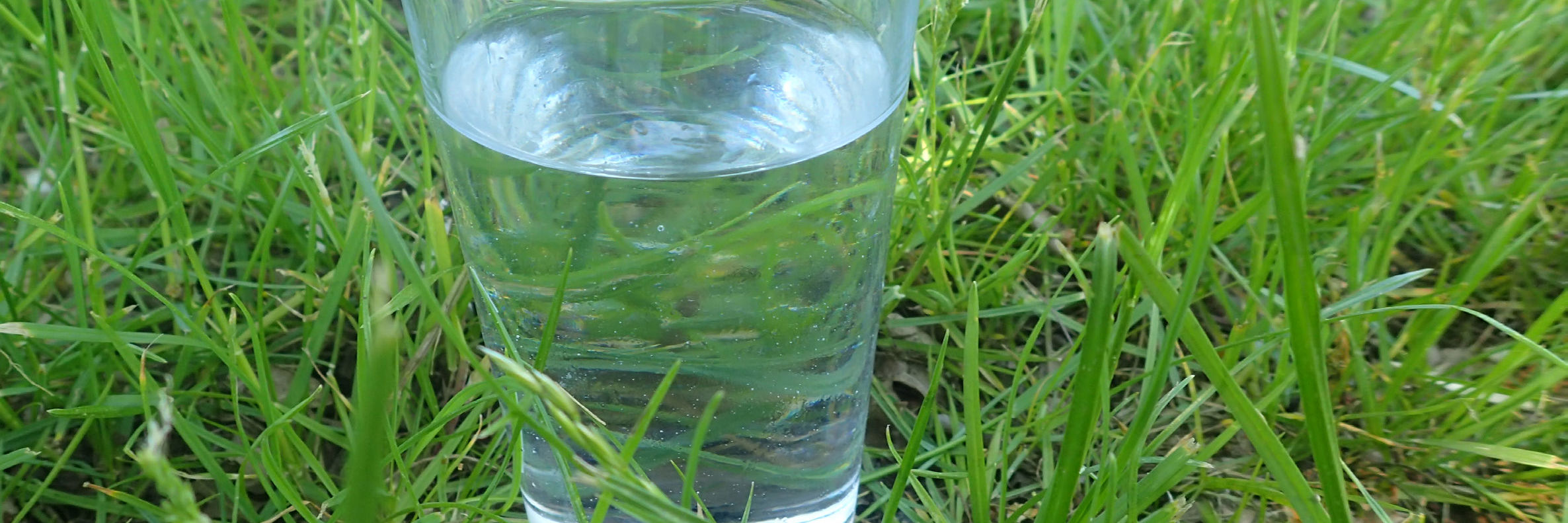 Glas som står på græsset næsten helt fyldt med vand