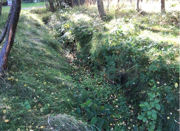 En grøft uden vand.