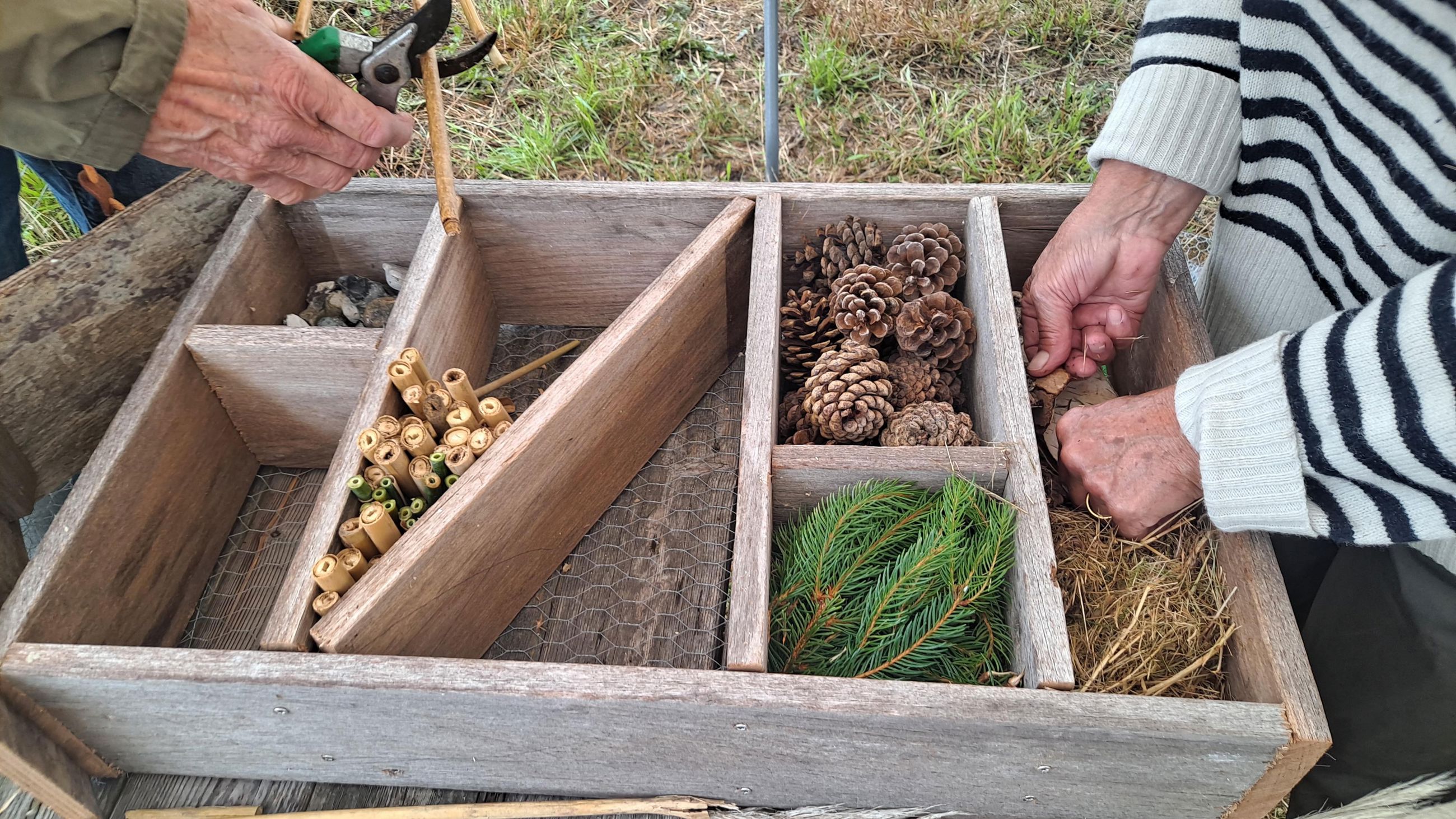 To personer er i gang med at bygge et insekthotel
