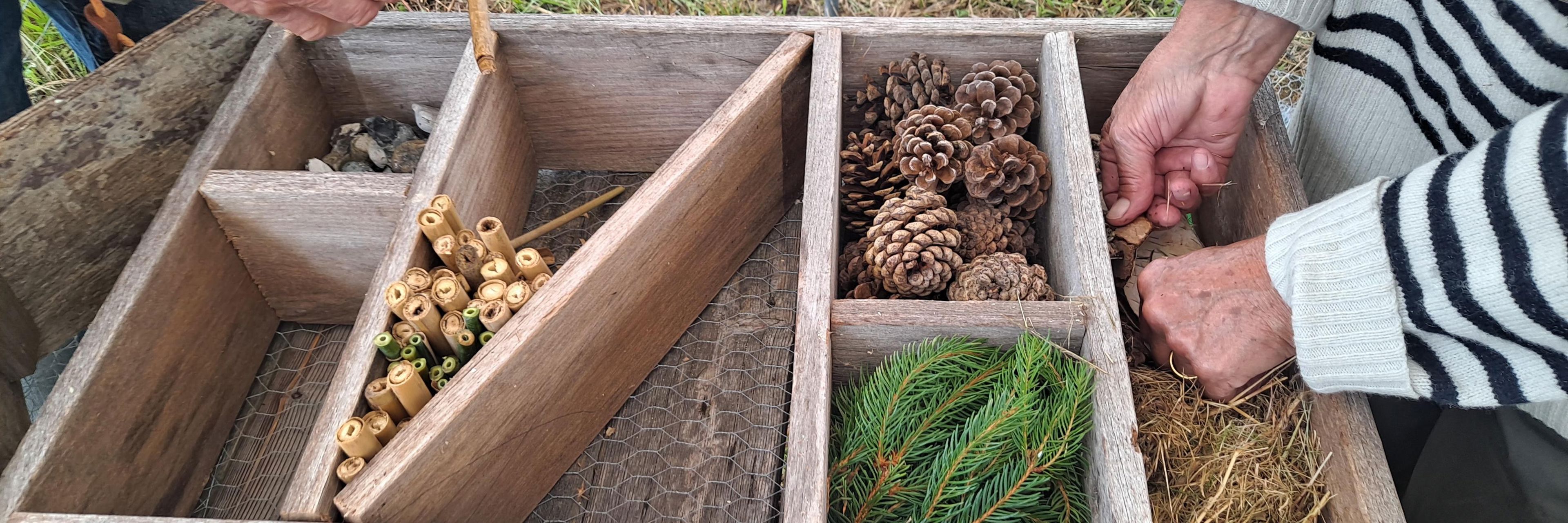 To personer er i gang med at bygge et insekthotel