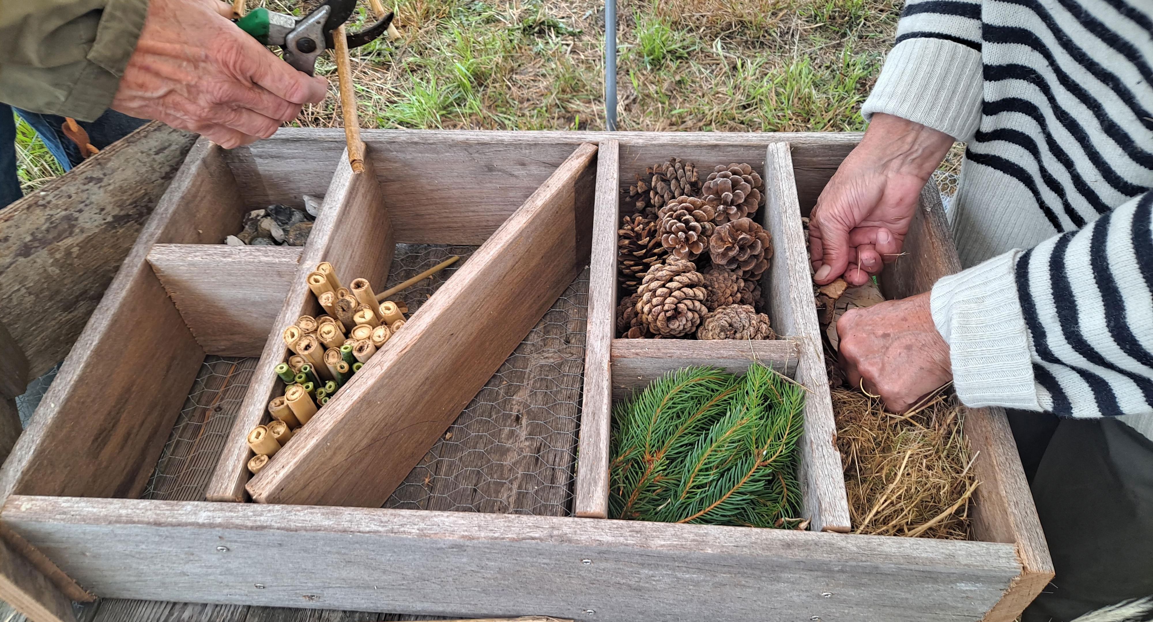 To personer er i gang med at bygge et insekthotel