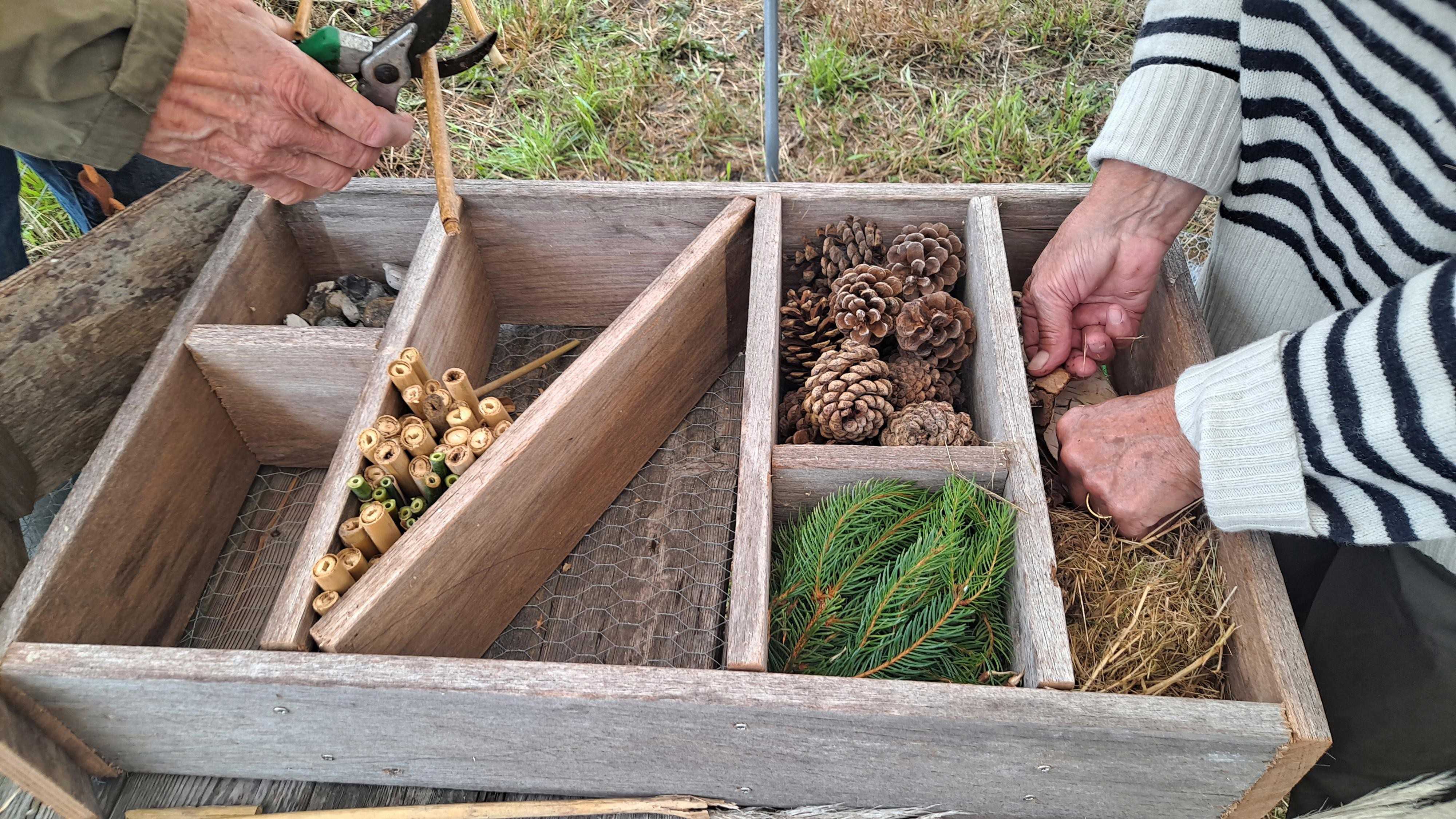 To personer er i gang med at bygge et insekthotel